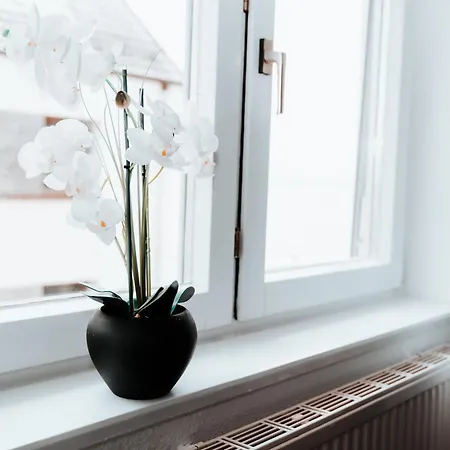 Ferienwohnung Ella - Direkt Am Bodensee Friedrichshafen Exterior foto